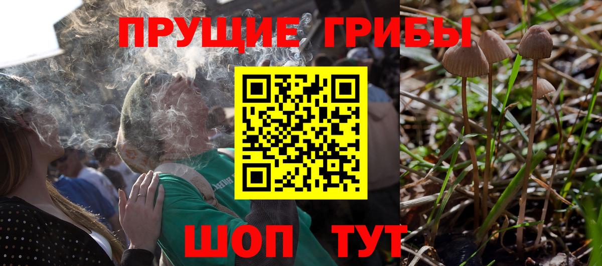 Галлюциногенные грибы MAGIC MUSHROOMS  Вход с VPN  Южноуральск 